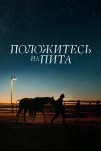 Положитесь на Пита (фильм, 2017)
