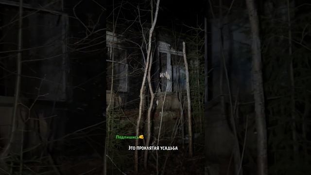 Ночная вылазка на усадьбу Рунова  #заброшенноеместо #horror #скрытые #travel #scary #креосан