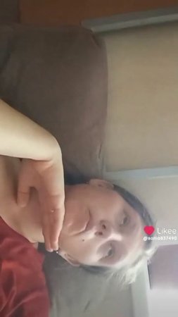 Бобры
