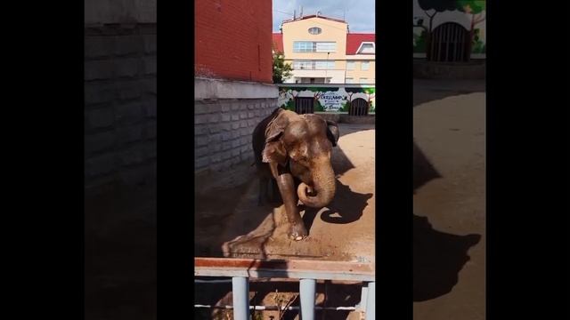 Даша в душе