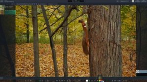 03-17 Squirrel climbing analysis