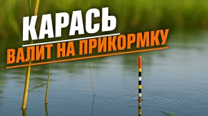 🔥 Рыбалка на карася превратилась в мясорубку! Клёв — заброс за забросом!