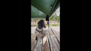 Конный клуб