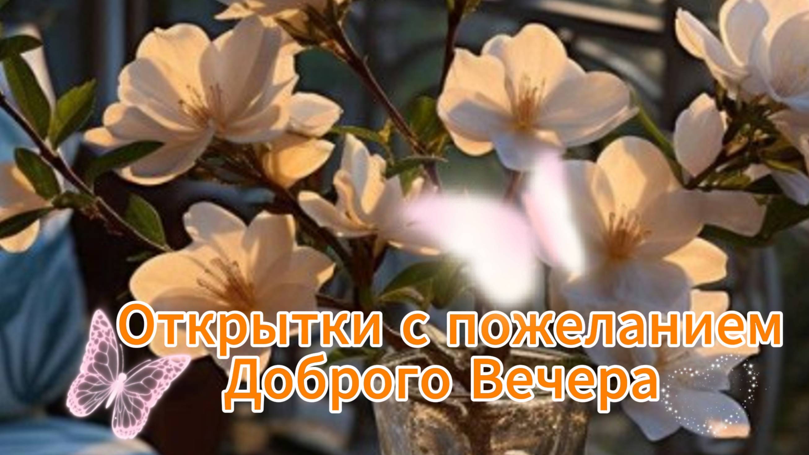 Добрый вечер хорошему человеку 🌙 НОВИНКА