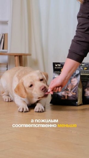 Как рассчитать порцию корма?