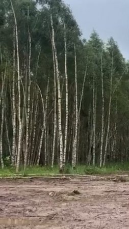 Сегодня