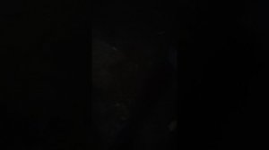 11 видео