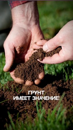 Грунт имеет значение !