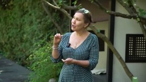 20летний сад в японском стиле.🧝 Великолепен и прост для жизни🙌