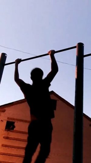 3 one arm pull ups (1 right arm, 2 left arm)