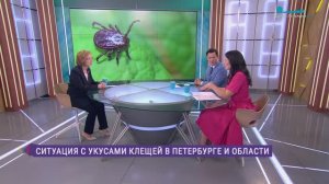 Ситуация с укусами клещей в Петербурге и Ленинградской области