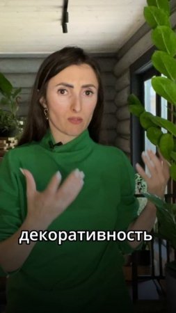 #фитодизайн #озеленение #комнатныерастения