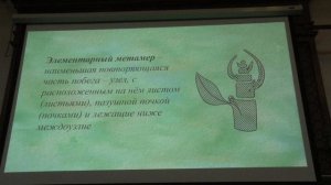 Зернов А. С. - Высшие растения - Метаморфозы корней