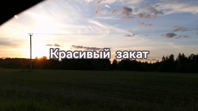 Аисты и закат! По пути на дачу!