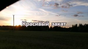 Аисты и закат! По пути на дачу!