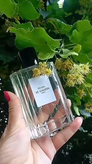 САМЫЙ ЛУЧШИЙ ПАРФЮМ С ЛИПОЙ. ШИКАРНЫЙ СТОЙКИЙ ШЛЕЙФОВЫЙ АРОМАТ.