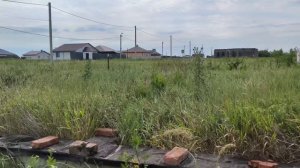 video5431815581286299265