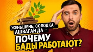 Почему БАДы работают? Восточная медицина, травы и мифы о натуральности Глубокий разговор с экспертом