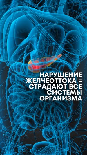 ТГ-канал для записи на консультацию: https://t.me/nutriaromacenter