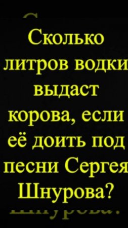 Мозгоправ самоубился. Книга первая. Вопрос 80