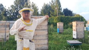 Липа отцвела. Обсуждение ошибки при объединении семей