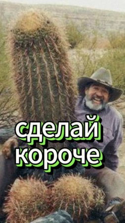 #юмор Сделать короче