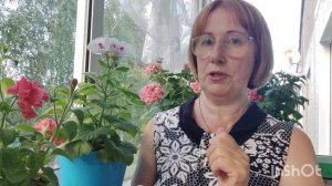 Видео для новичков. купили детку, что дальше?