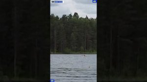 Спокойный понедельник 07.07.2025 #юныйпрадедбодрыйдед