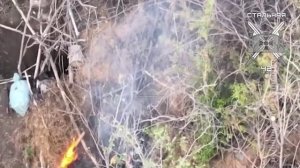 Операторы БПЛА 42-й гвардейской дивизии сожгли укрытие ВСУ на Ореховском направлении
