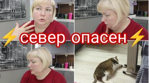 06-07-2025 СЕВЕР ОПАСЕН ДАЖЕ ЛЕТОМ  * ПОСМОТРЕЛА ЗАКОН * ПРО ПЫЛЕСОС  DREAME