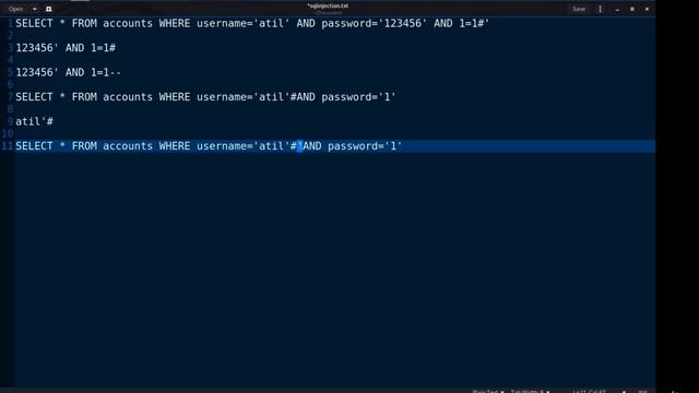 13. SQL Injection Introduction