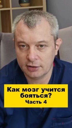 Как мозг учится бояться? Часть 4