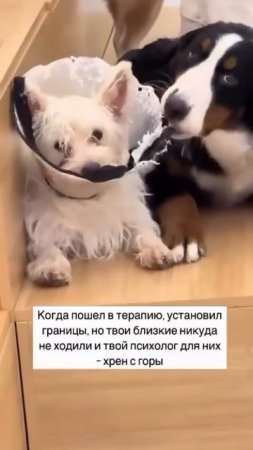 Когда пошёл в терапию, установил границы, но твои близкие никуда не ходили