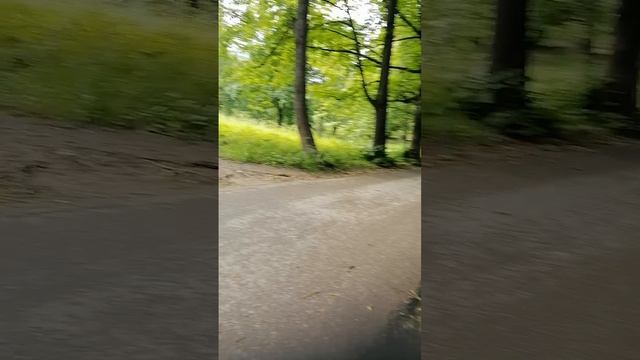 Видимость такая у него