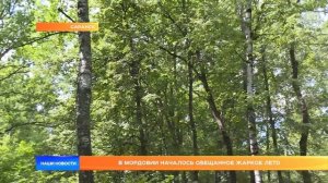 В Мордовии началось обещанное жаркое лето