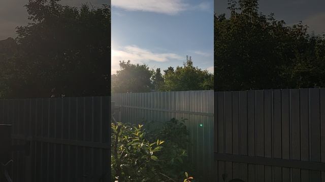 VID_20250707_054645.mp4
