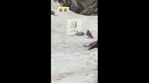 Сила закона