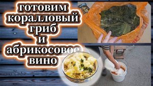 110-25!КРУЧУ ЛИСТЬЯ/ГОТОВЛЮ КОРАЛЛОВЫЙ ГРИБ/ПОКУПКИ/ИГОРЕВИЧ ГОТОВИТ АБРИКОСОВОЕ ВИНО 🍑