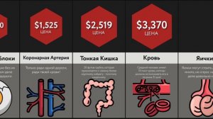 Сравнение Цен_ Человеческие Органы