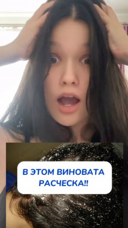 В расческах сидит ваш враг!
Артикул на WB #93550775
Ozon #655295171