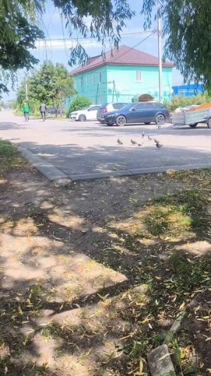 мы давно уже перестали ценить элементарные вещи