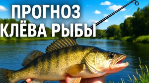 Прогноз Клева Рыбы с 7 по 20 июля 2025! Лунный Календарь рыбака 2025!