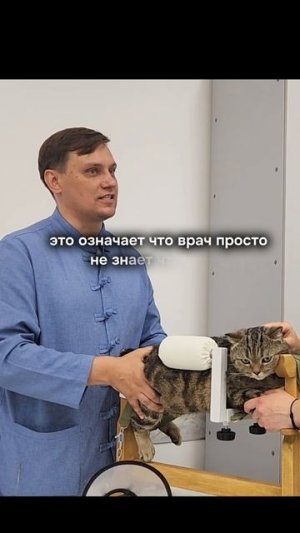 Согласны с данным утверждением? #лечение #польза