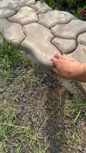 Садовая тропинка из формы 4 года спустя
