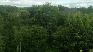 Скорый поезд к дому мчится.