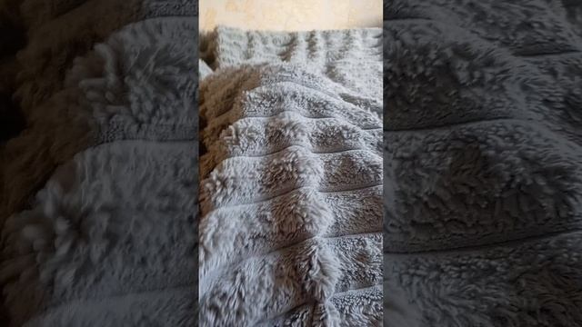 1000009061.mp4