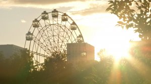 Большой экофестиваль в парке «Наташинские пруды»