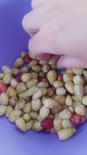 Первые "закрывашки"