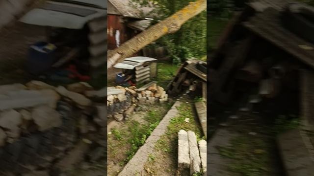 1000000800.mp4