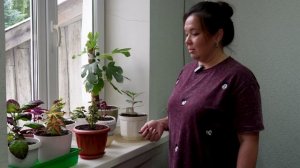 Цветочное увлечение